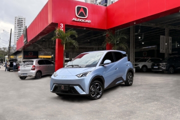 Dolphin Mini